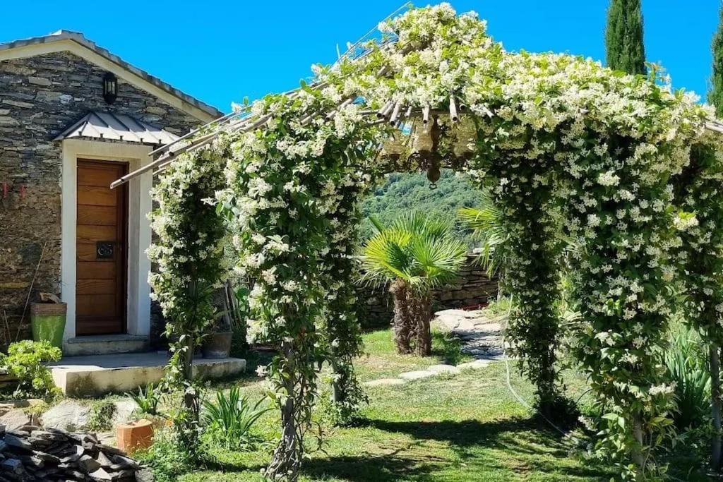 Domaine Colonna-Santini, Gite Piscine, Sauna, Spa Porri Екстериор снимка